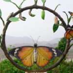 Butterfly-Garden1