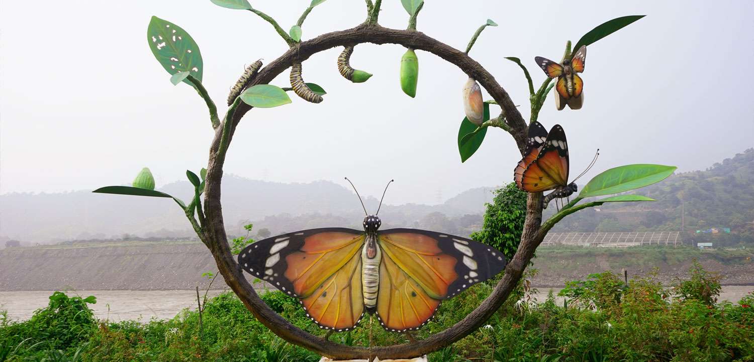 the best place to visit in ahmedabad-Butterfly Park