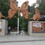 butterfly-park-Kankaria-Ahmedabad-photo