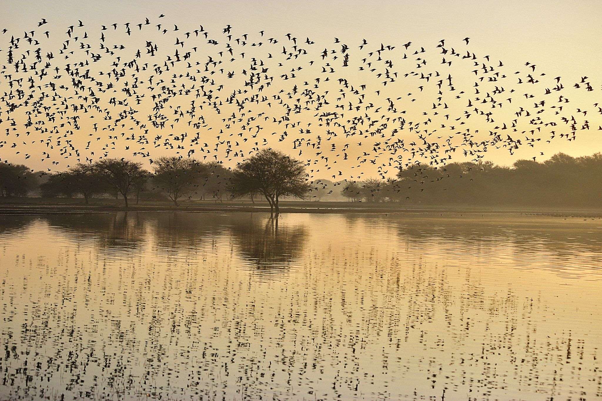 Thol Lake-hima