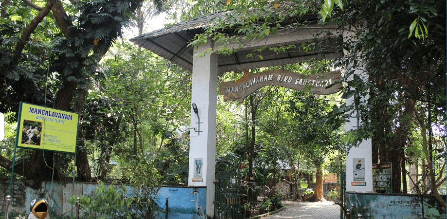 The Best haven of Kerala-Mangala Vanam Bird Sanctuary